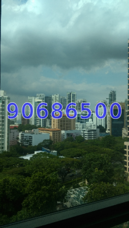 Tomlinson Heights (D10), Condominium #210473251
